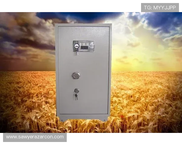 K8凯发网站app注册流程详解，新手快速注册成为平台正式会员的完整步骤